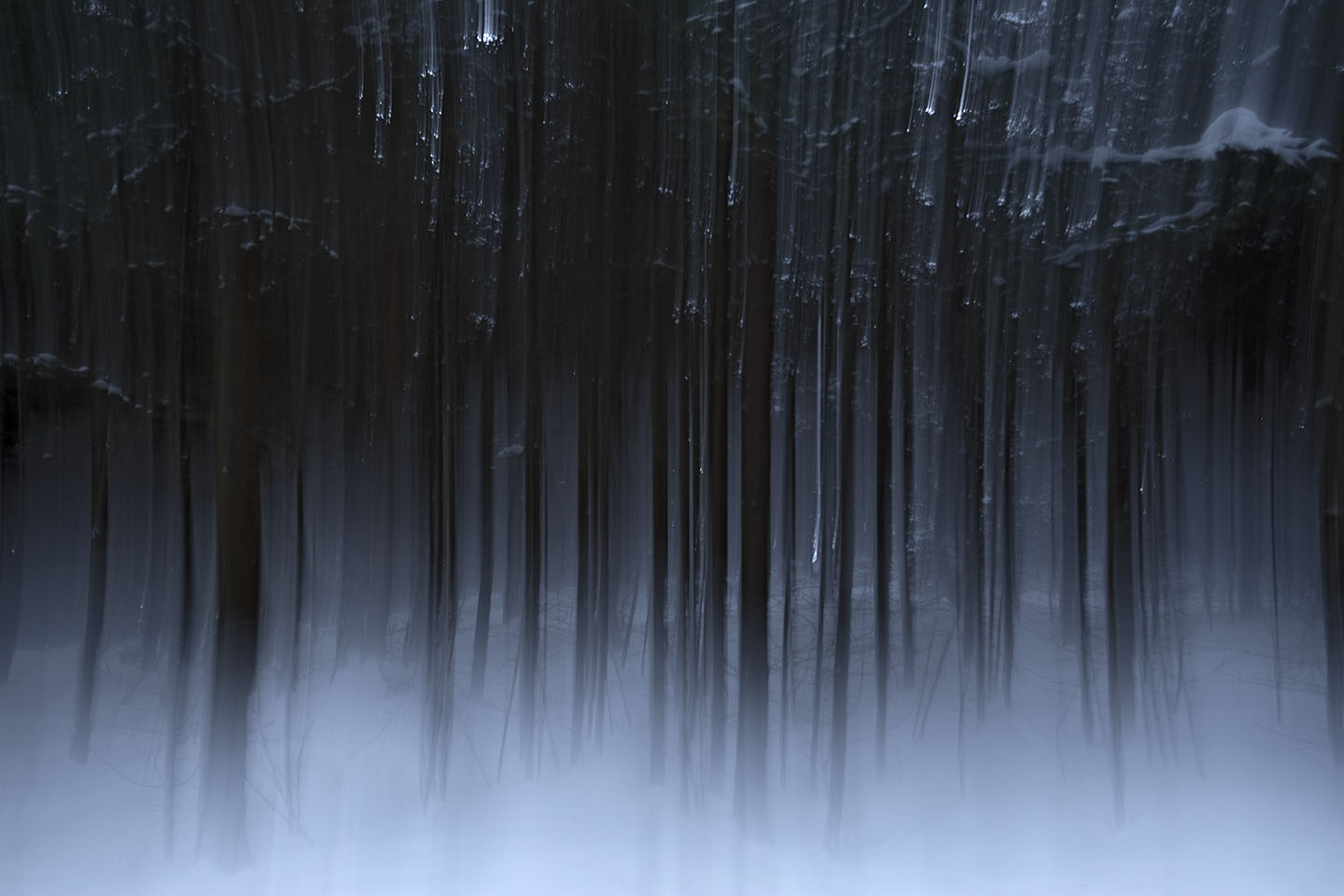 Winter im Risi-Wald